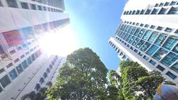 Blk 192 Punggol Central (Punggol), HDB Executive #500954121